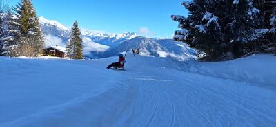 Robin en Gerieke, januari 2025